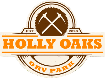 motor city bronco fest at holly oaks